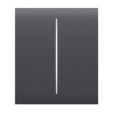 Кнопка центральная для двухклавишного выключателя Ajax CenterButton (2-gang) [55] graphite
