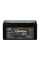 Акумулятор LP LiFePO4 12,8V - 160 Ah (2048Wh) (BMS 80A/40А) пластик для ДБЖ