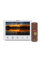Комплект відеодомофона BCOM BD-710C Kit: відеодомофон 7" white та відеопанель copper