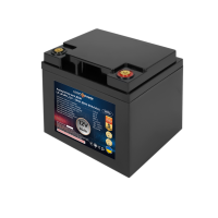 Аккумулятор LP LiFePO4 12V (12,8V) - 50 Ah (640Wh) (BMS 80A/40A) пластик для ИБП
