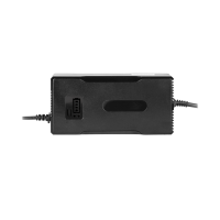 Зарядний пристрій для акумуляторів LiFePO4 24V (29.2V)-14A-336W-C13