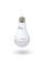 Комплект из двух ламп LED Lightwell BS2C3 12 Вт Е27 со встроенным аккумулятором